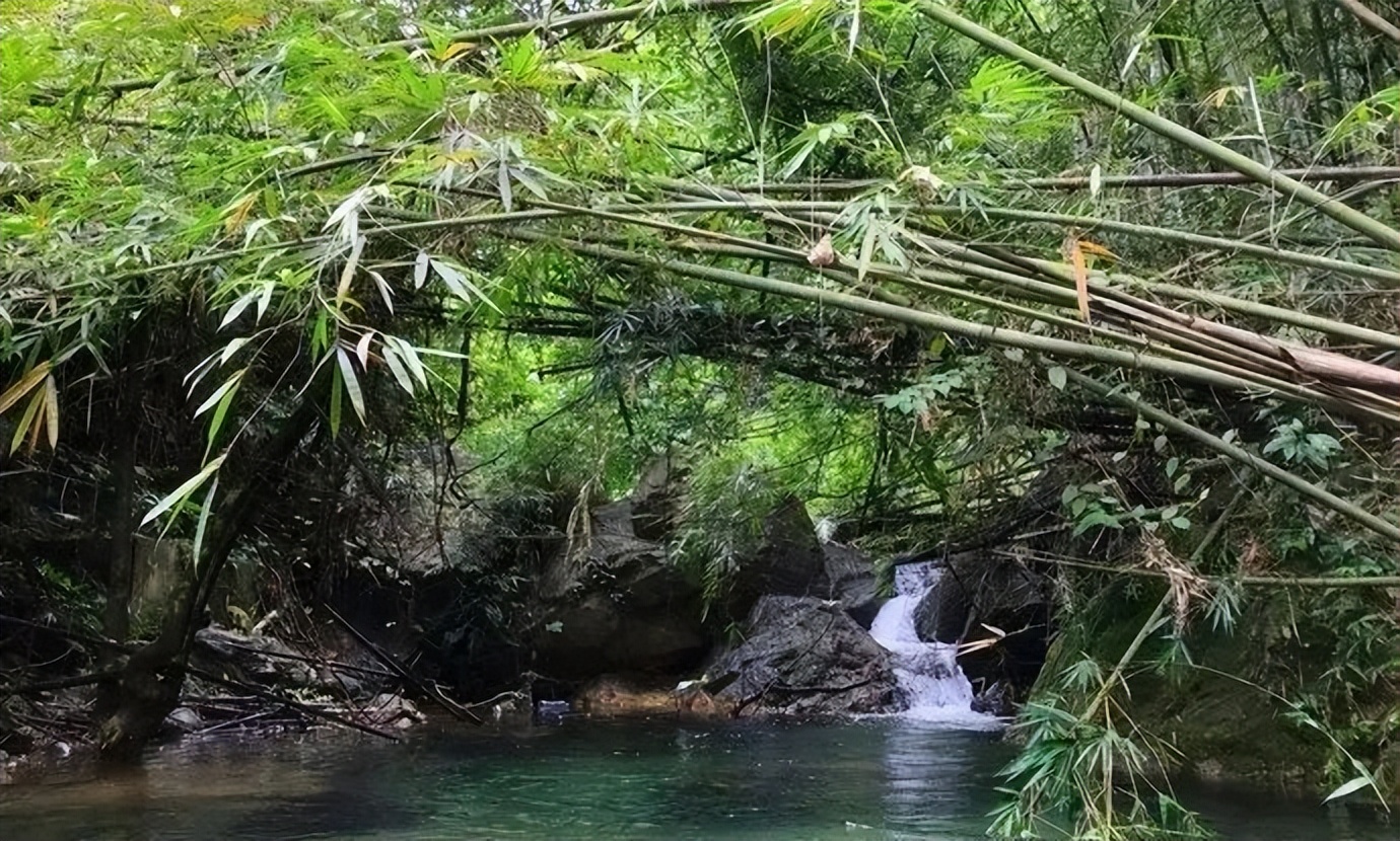 广东肇庆羚羊峡攻略,肇庆羚羊峡游记