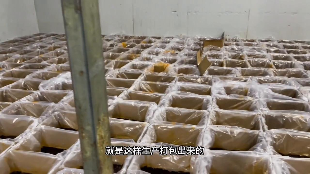 96年重庆打工女孩,重庆女孩贵州创业96年