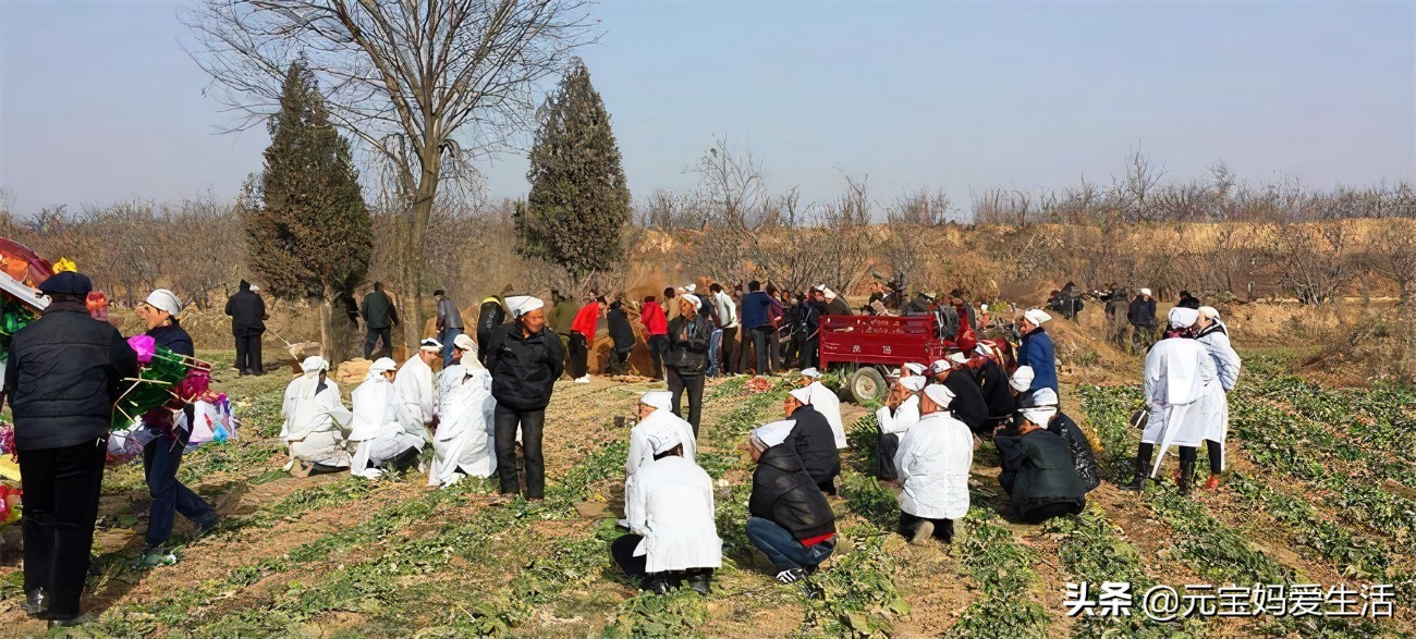 上坟祭祀一般拿几样供品,上坟后的供品可以带走吗