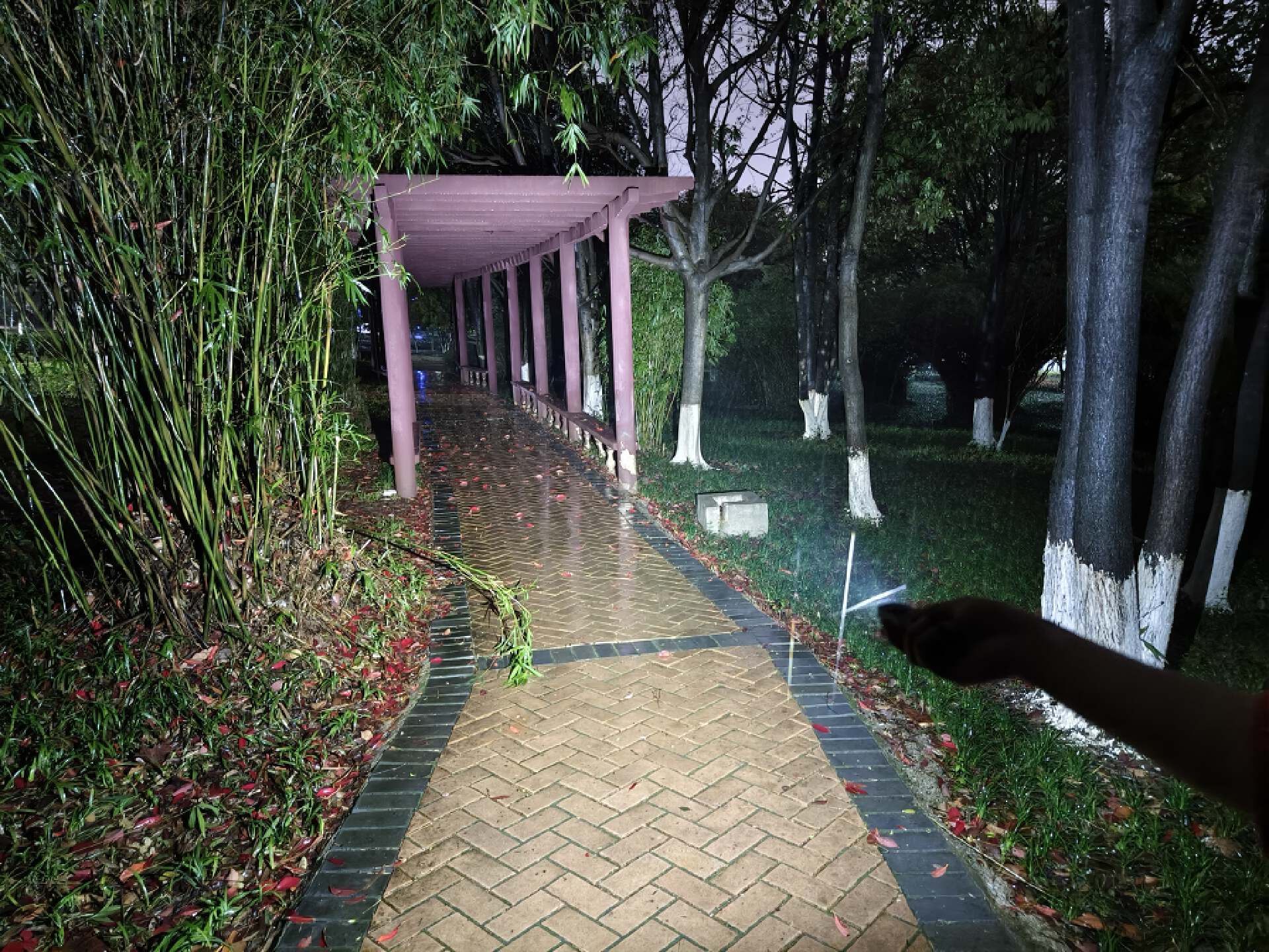 傲雷最好的手电是哪一款,傲雷最值得购买的手电筒