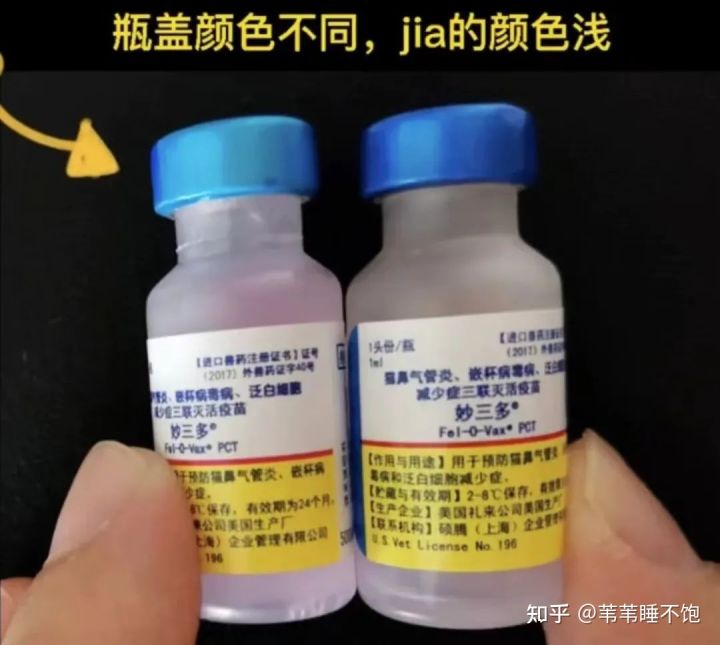 猫三联疫苗如何看真假,妙三多与猫三联疫苗真假