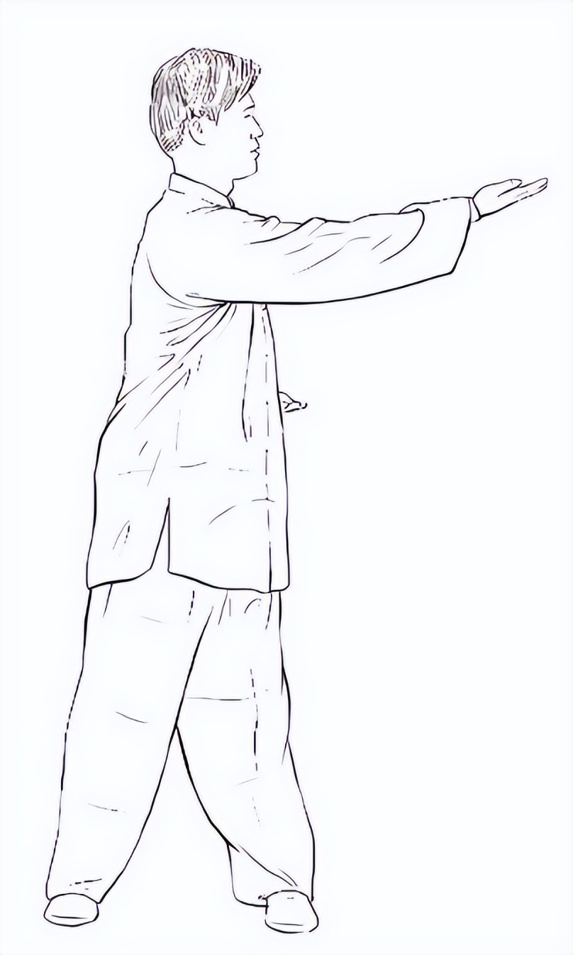 夏日炎炎如何做到清淡养生,夏天来啦九种体质夏季养生攻略