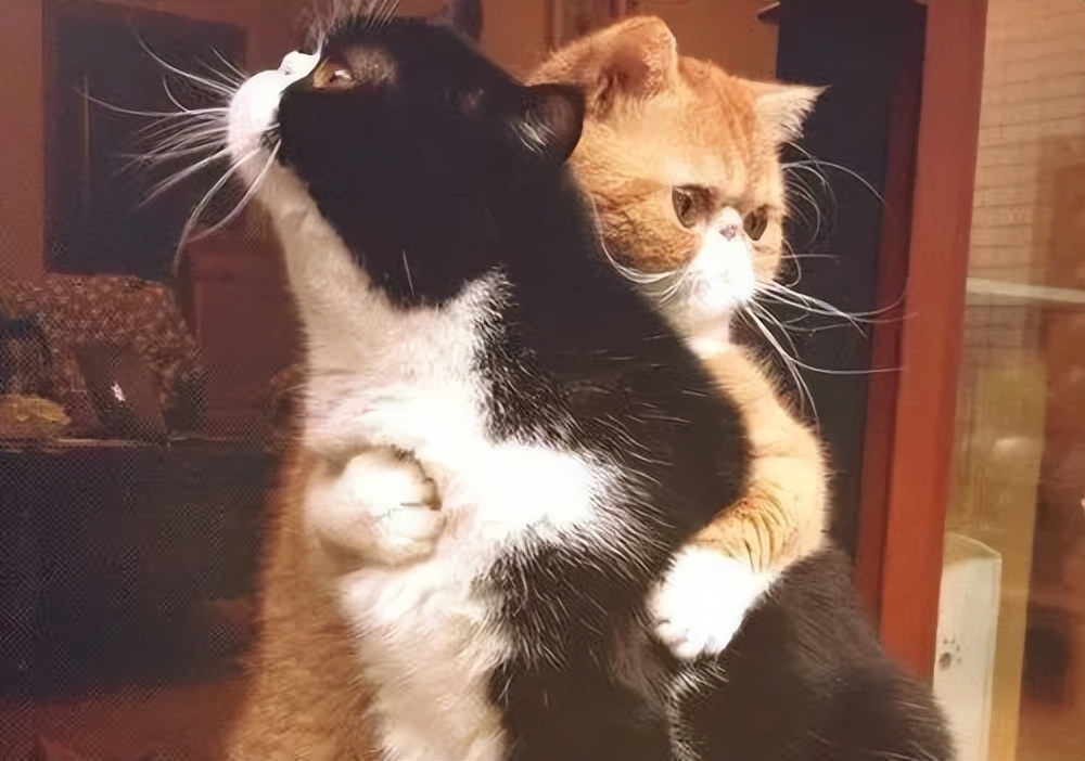 该不该离婚呢在线阅读,该不该离婚需要哪些证据