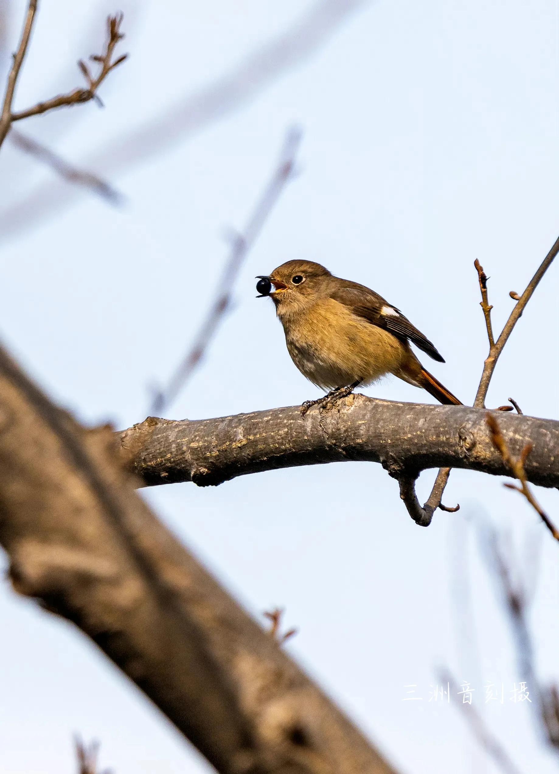 上海市嘉定区安亭国际汽车城,上海嘉定安亭国际汽车城