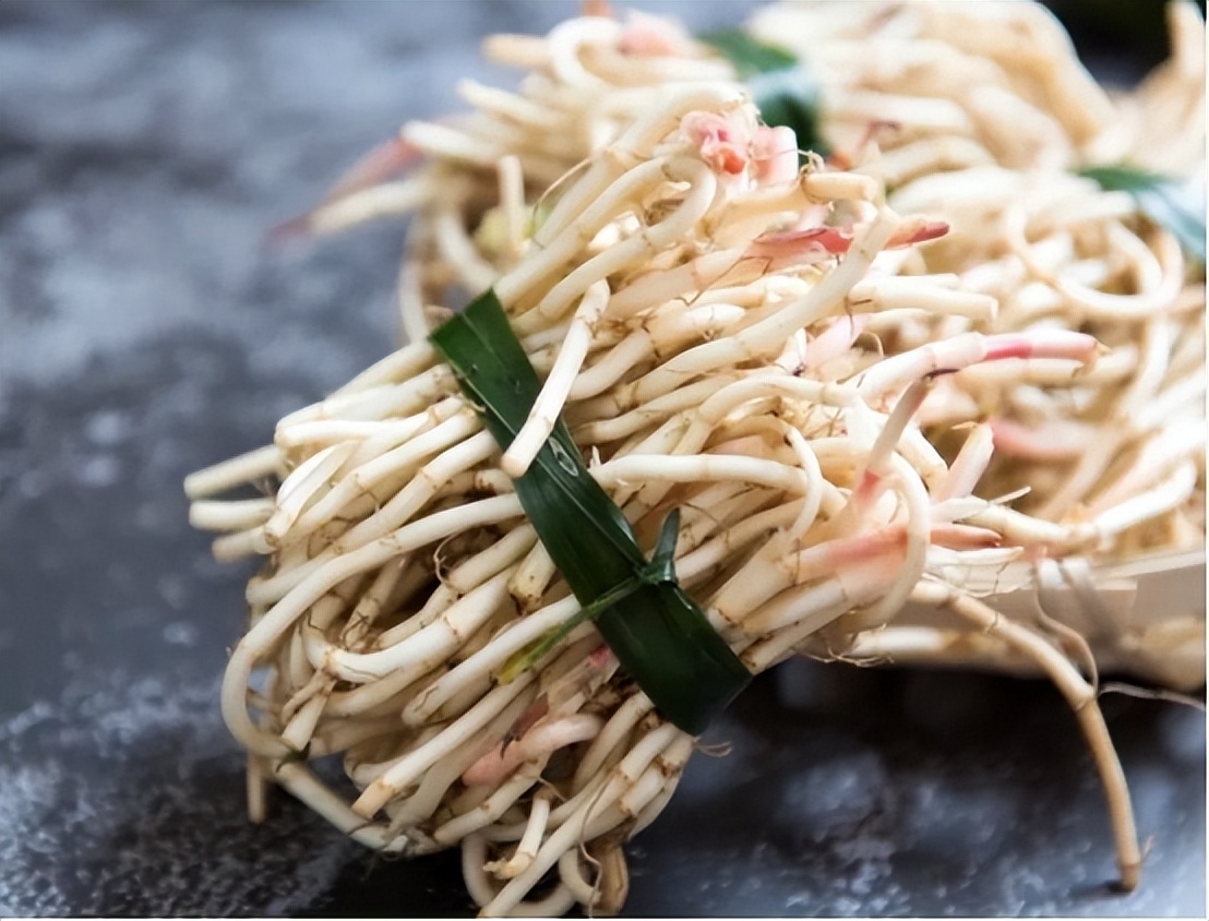 鱼腥草含一级致癌物，伤肾还致癌？折耳根还能吃吗？过度解读了！