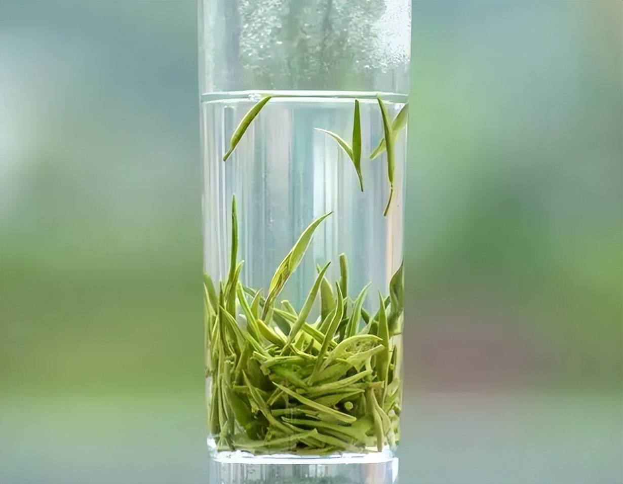 买茶时该如何挑选茶叶,买茶怎么选好茶