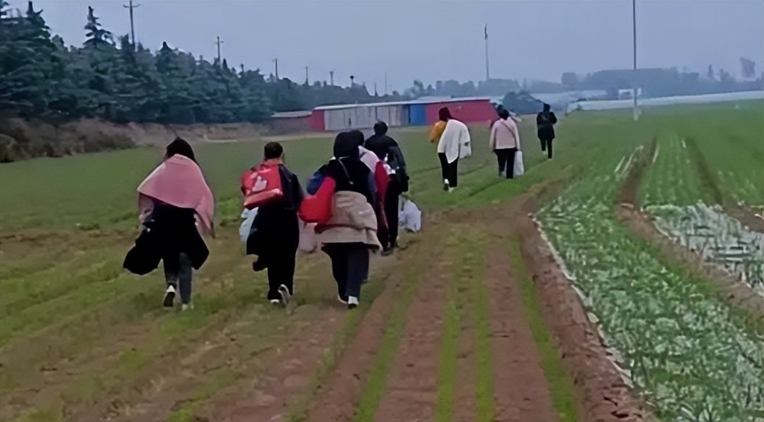 富士康真的那么重要吗,富士康真的有那么重要吗