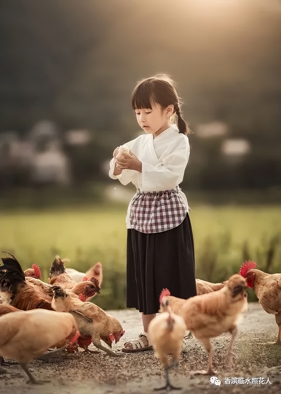 【这样想象真有趣——三年下作文展】邸妙涵《会飞的母鸡》（二）