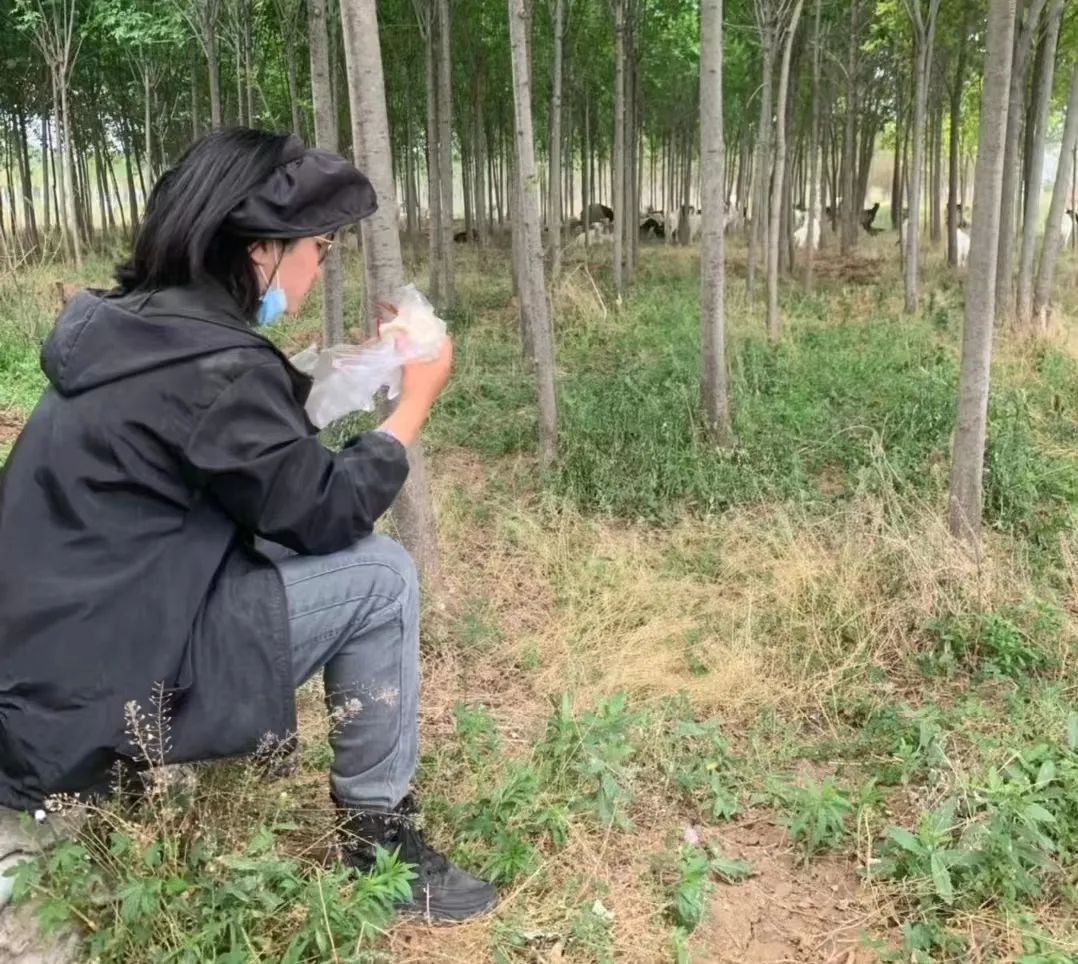 95后女大学生辞职返乡种地,95后女生返乡创业养鹅