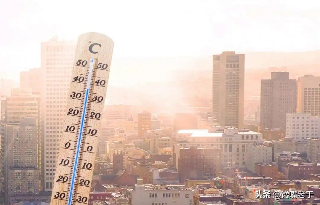 冬天最适合吃的五种鱼,盘点夏季必吃的十种鱼