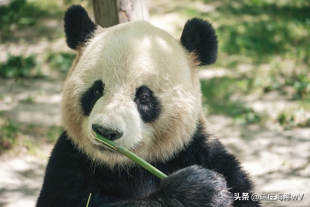 去上海十个必打卡地，每一个都美不胜收