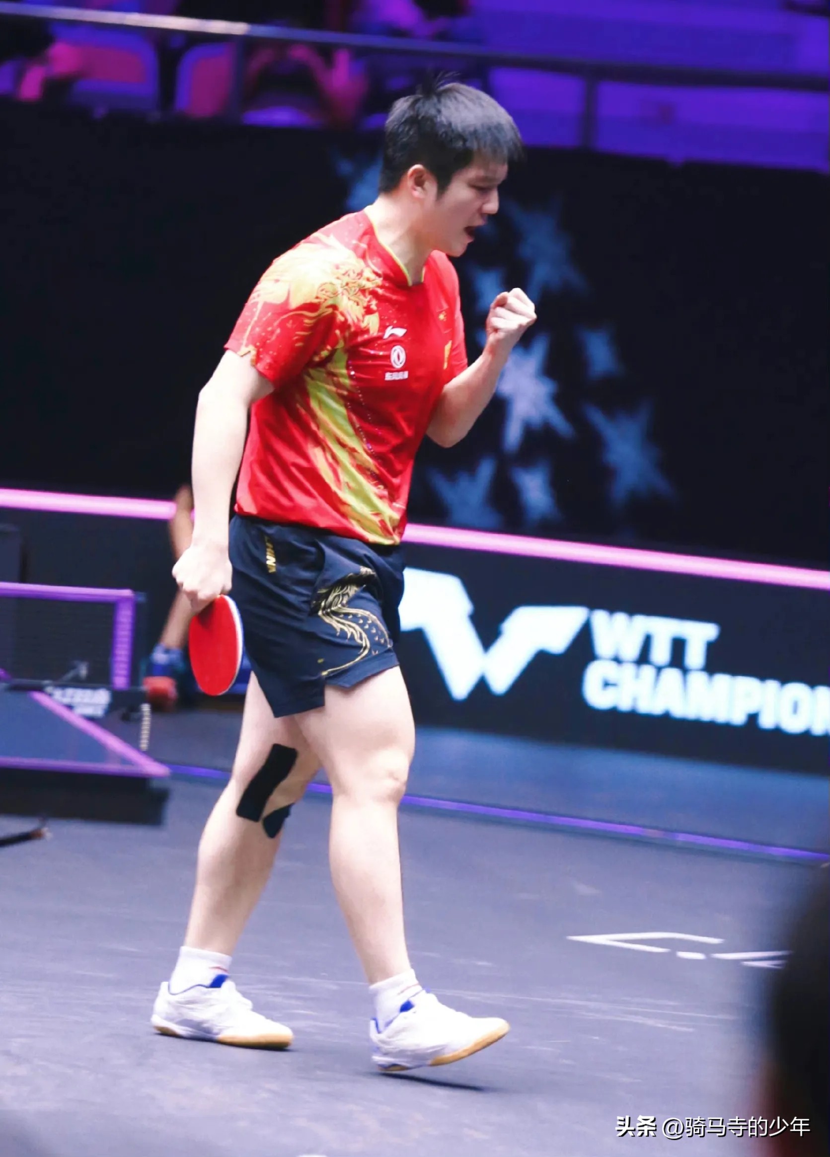 马龙vs樊振东2017马龙世乒赛采访,马龙被质疑打10球