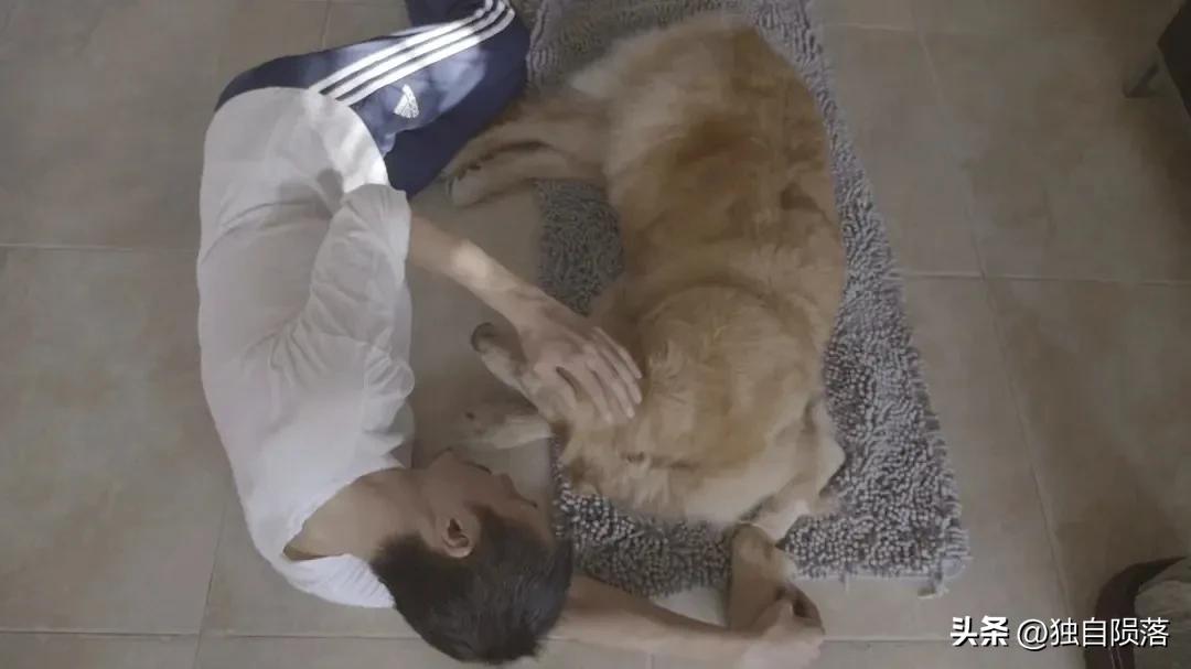 那些年朴树为电影唱过的歌，每一首都能全场大合唱，你喜欢哪首？