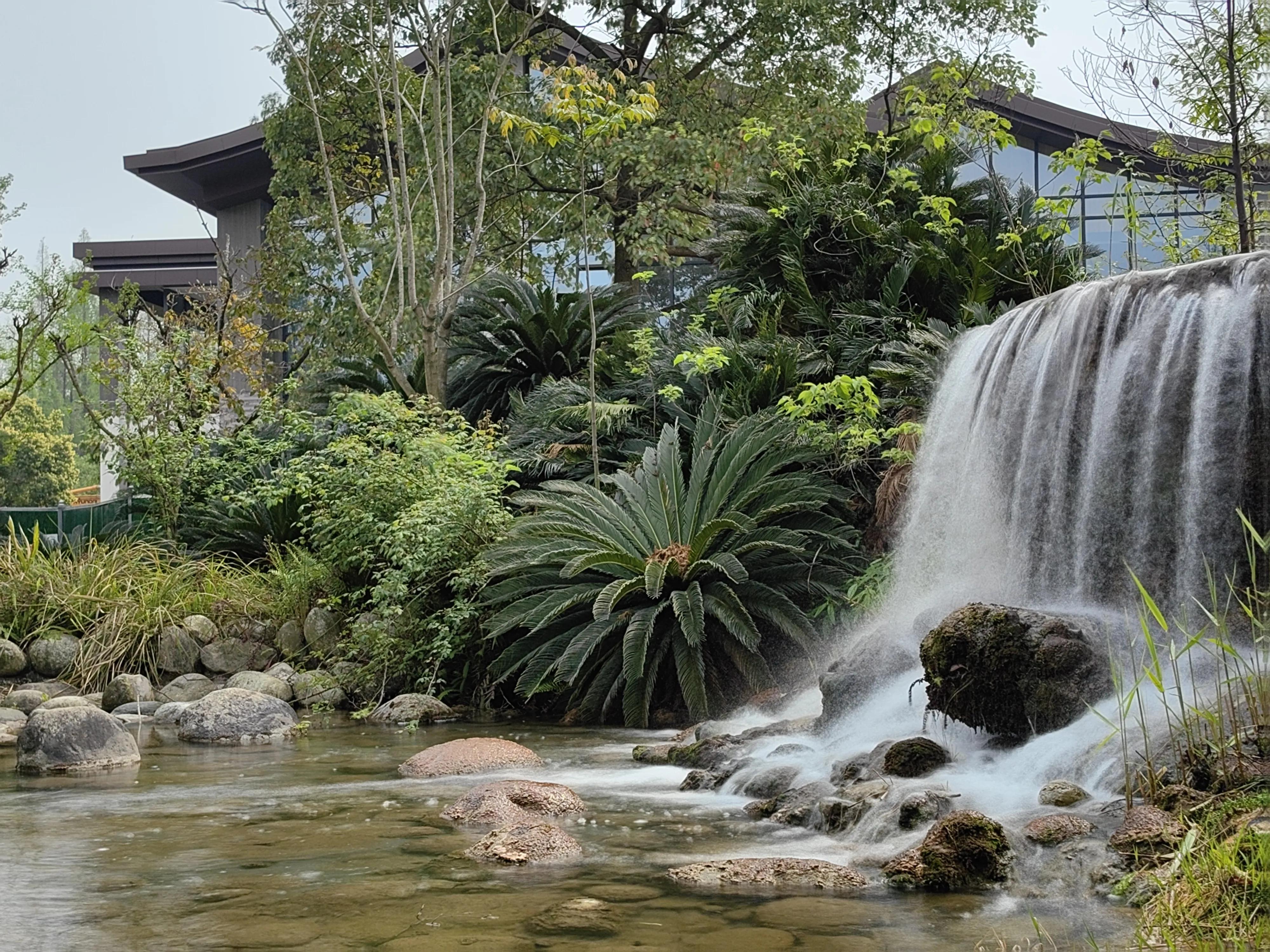 华为P60PRO入手拍照测试