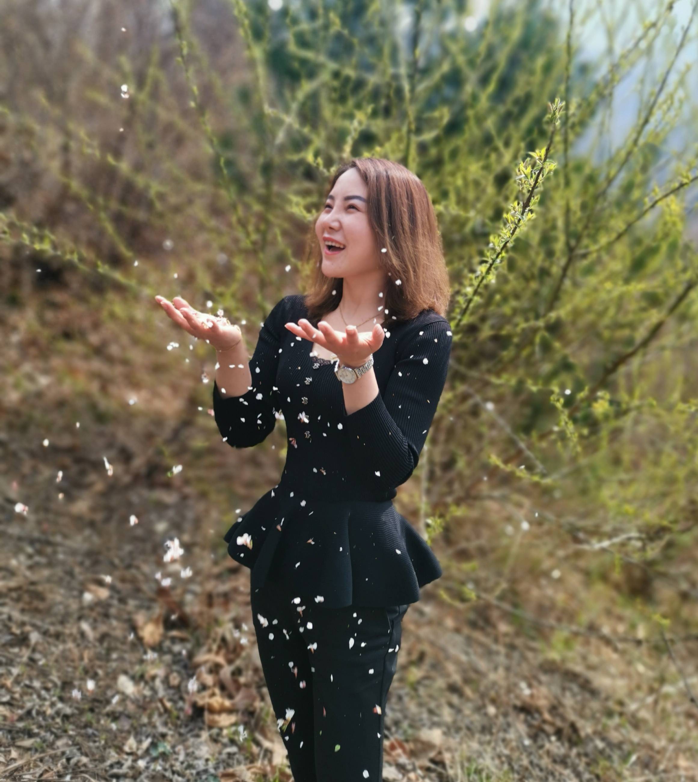 蓝田诗雅轩,诗雅轩蓝田