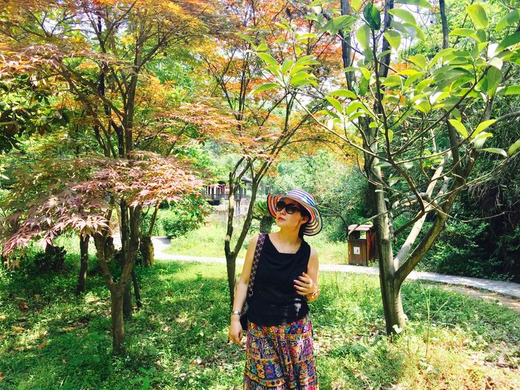 走近土家第一城一一恩施