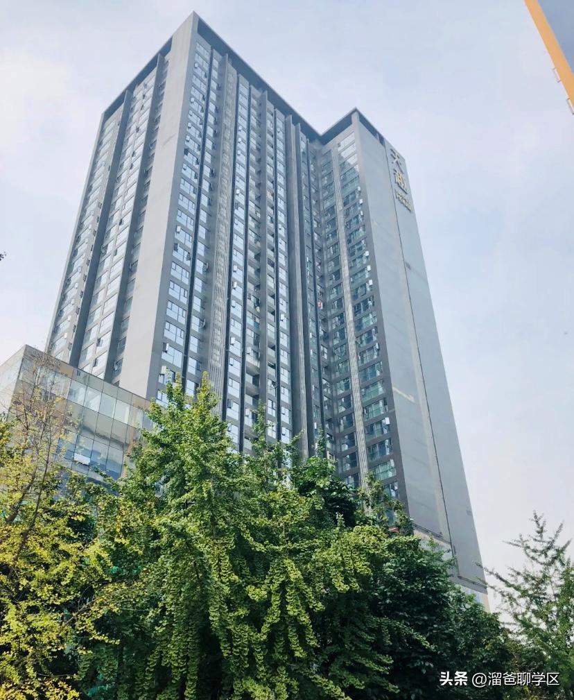 一校三区→一校五区？从不设分校的“金花学校”要爆发？