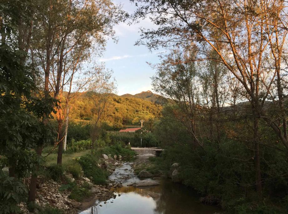 凝聚与分离：《歇马山庄》中的女性羁绊，与对农村生活困境的剖析