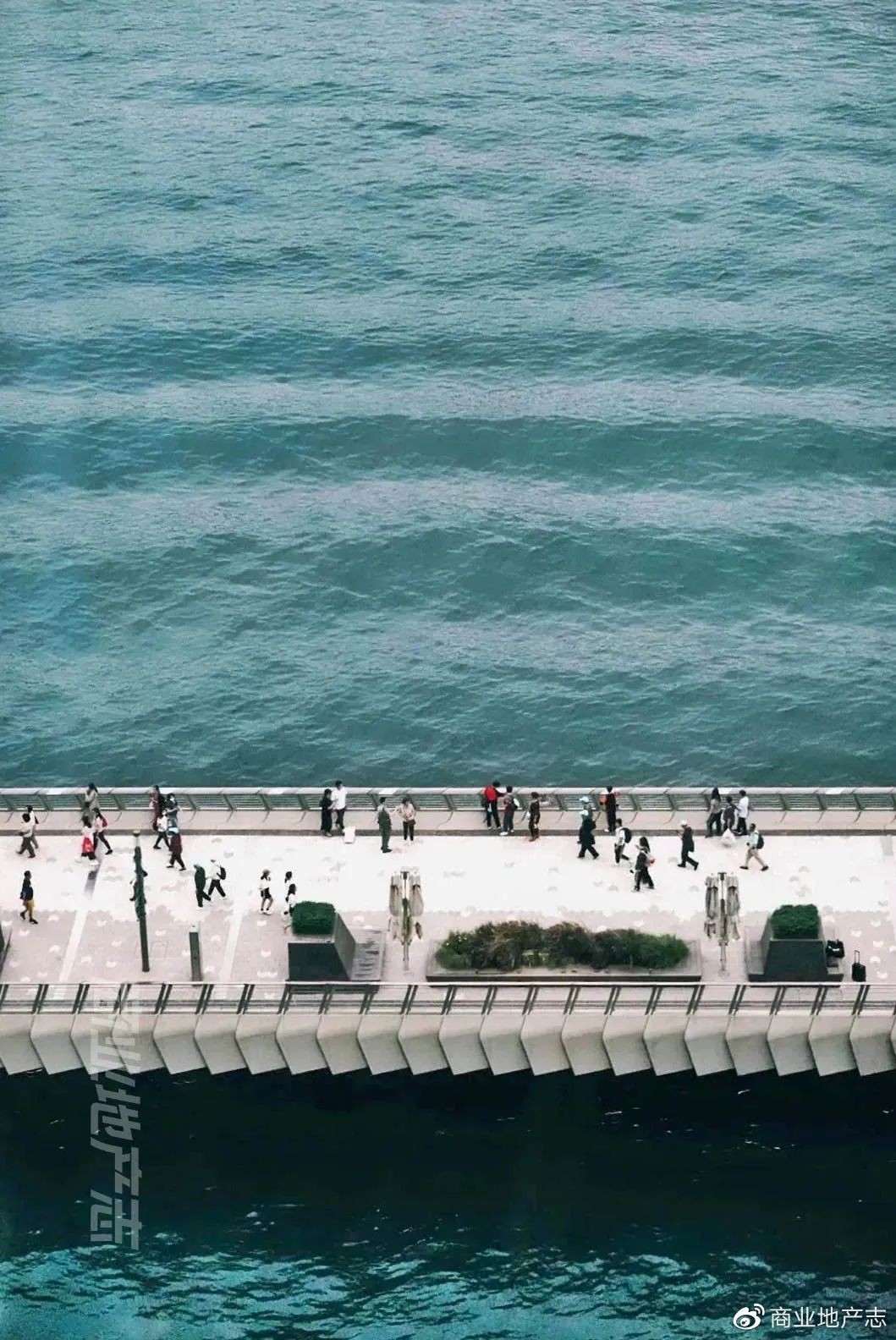 CRR杂谈|HK7日,我与7个香港商业人的深聊记录