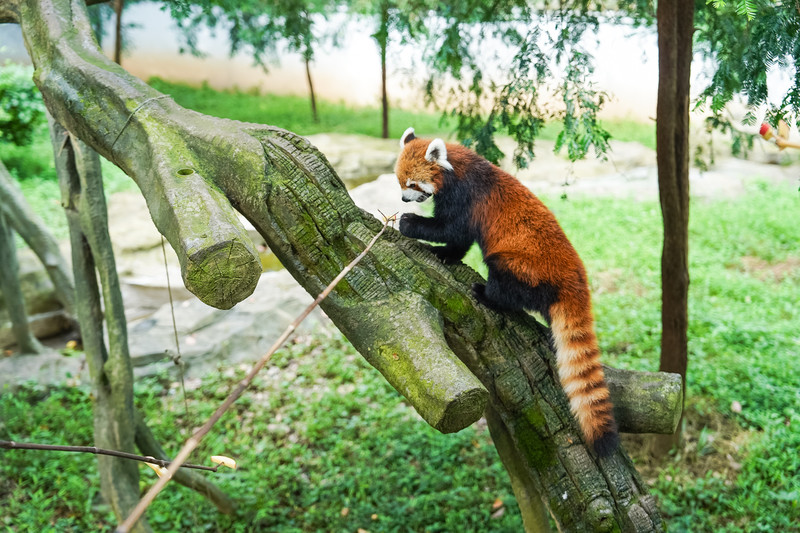 安吉中南百草园二天一夜攻略,安吉中南百草原刺激游乐项目