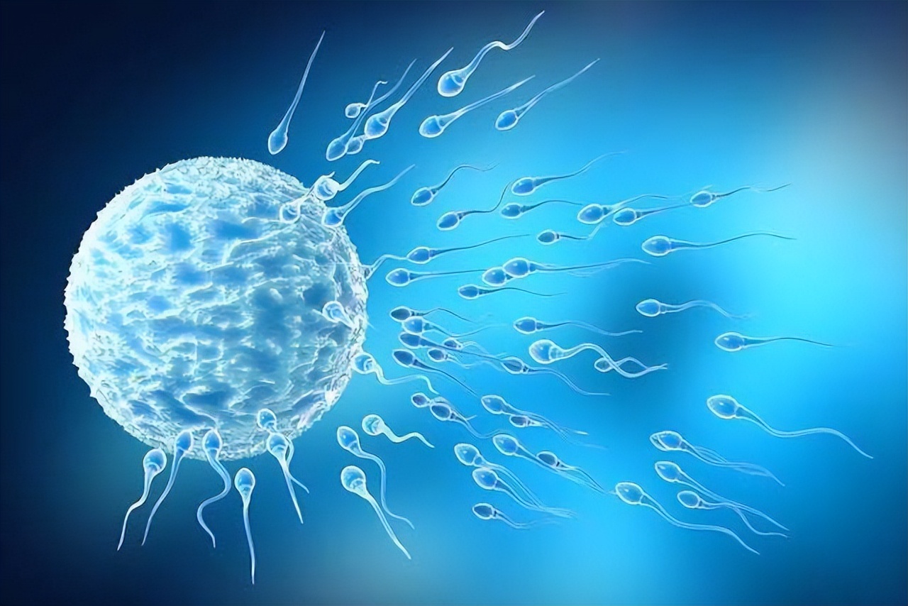 科学备孕优生优育方法,如何科学备孕宝宝更健康视频教学