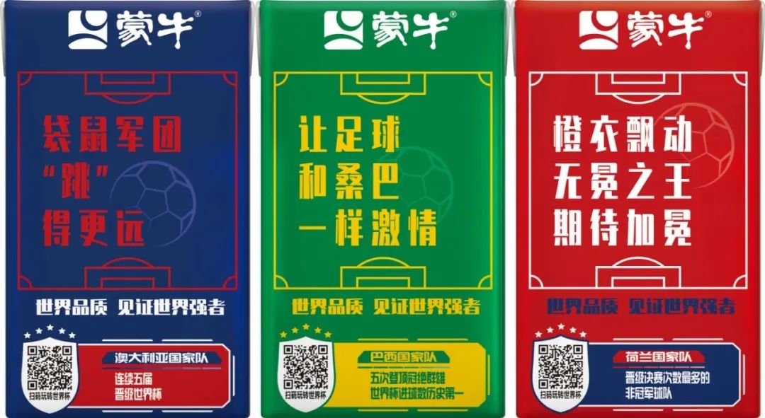 世界杯足球员故事,世界杯队长纪录片第四集