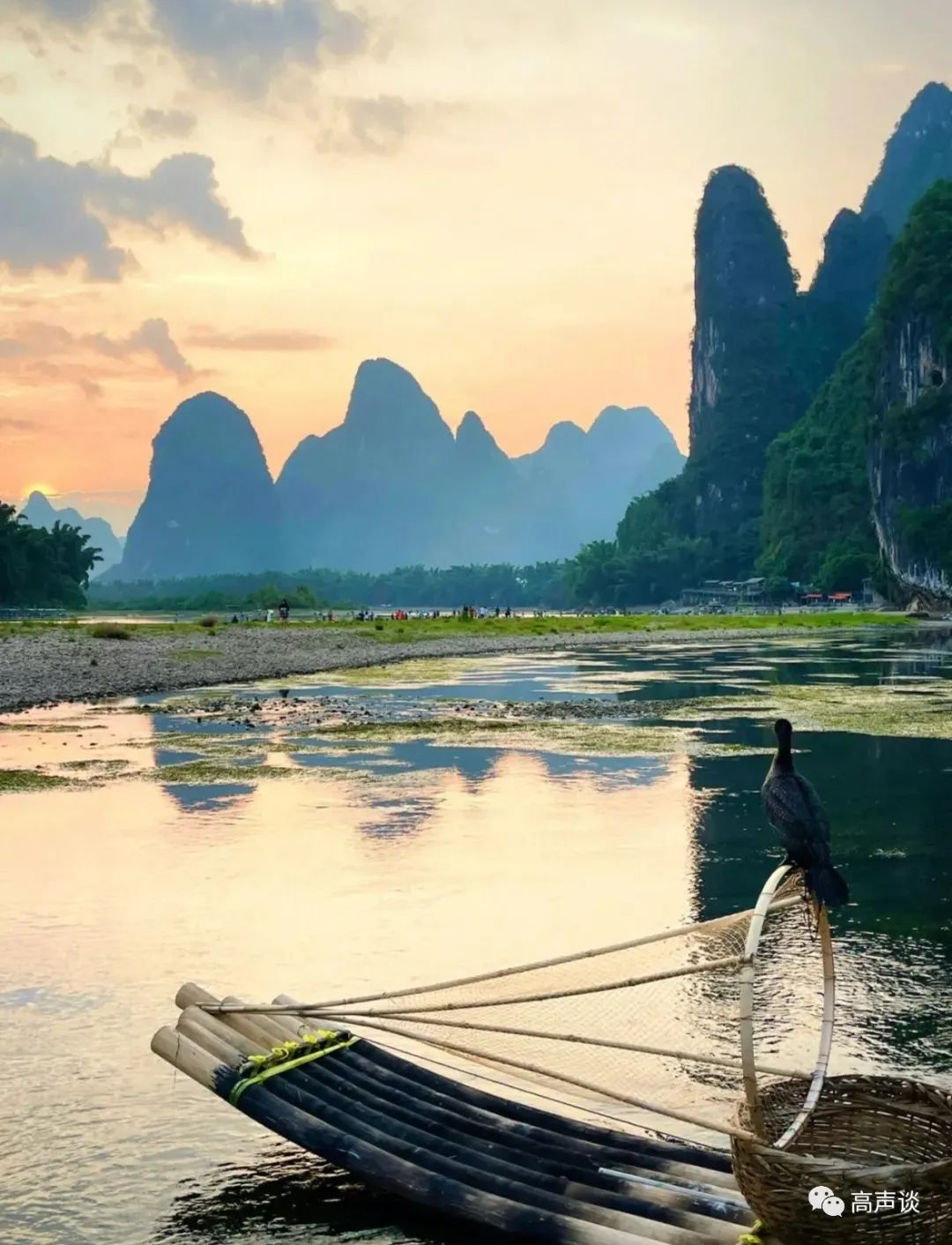 信用保证保险发展趋势,信用保证保险真实案例与分析