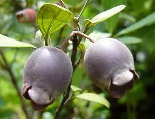 怀念90年代的回忆,80年代90年代满满的回忆