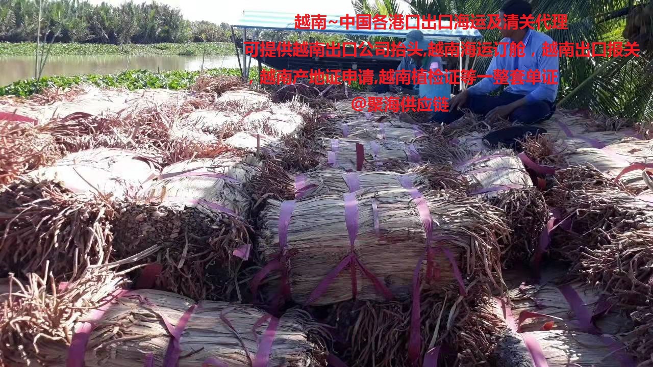 越南陆运出口报关流程及步骤,越南出口中国报关流程