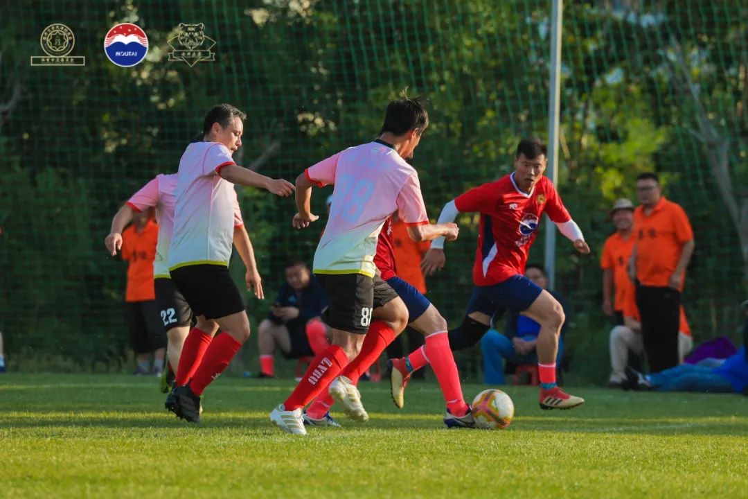 茅台杯足球赛,上海茅台王子杯首届足球比赛