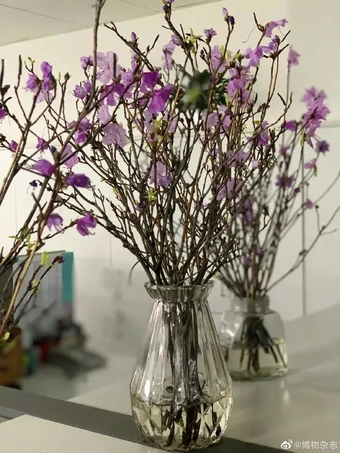 春节不可买哪些东西,春节买年货这些食品不要买