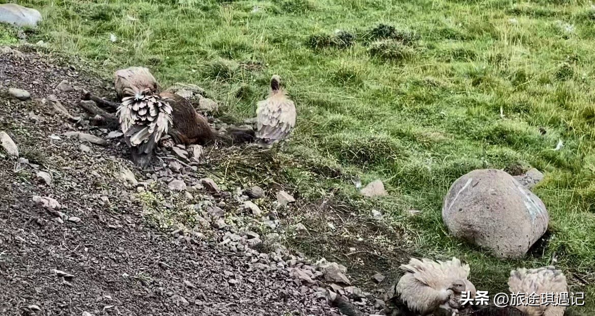 除了大海还有哪里美丽,川西必去和不去推荐