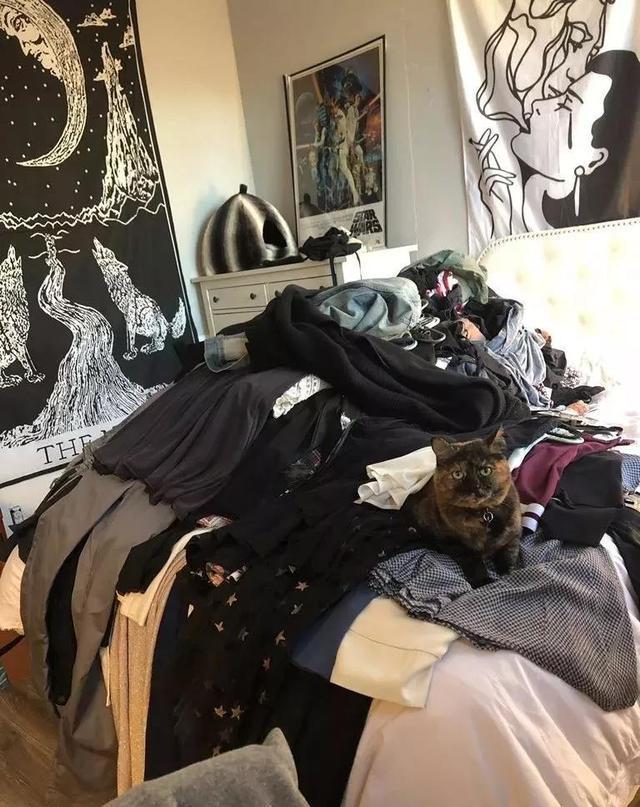 百分之99的人都理解错了吗,90%的人都存在的一个认知误区