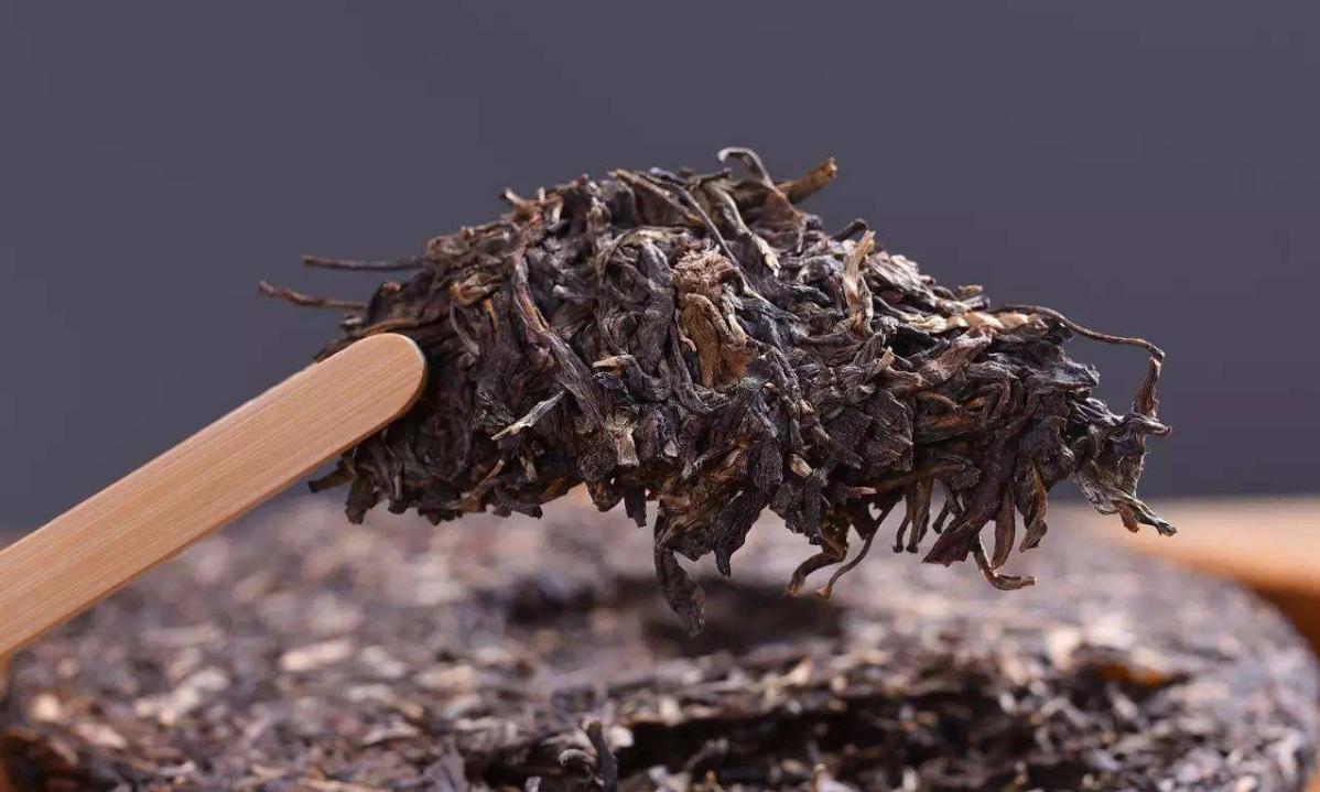 喝普洱茶等于自杀？一克普洱熟茶含五亿霉菌，普洱茶到底能不能喝