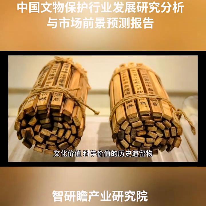 行业投资与发展前景研究报告,行业发展分析及投资前景预测报告