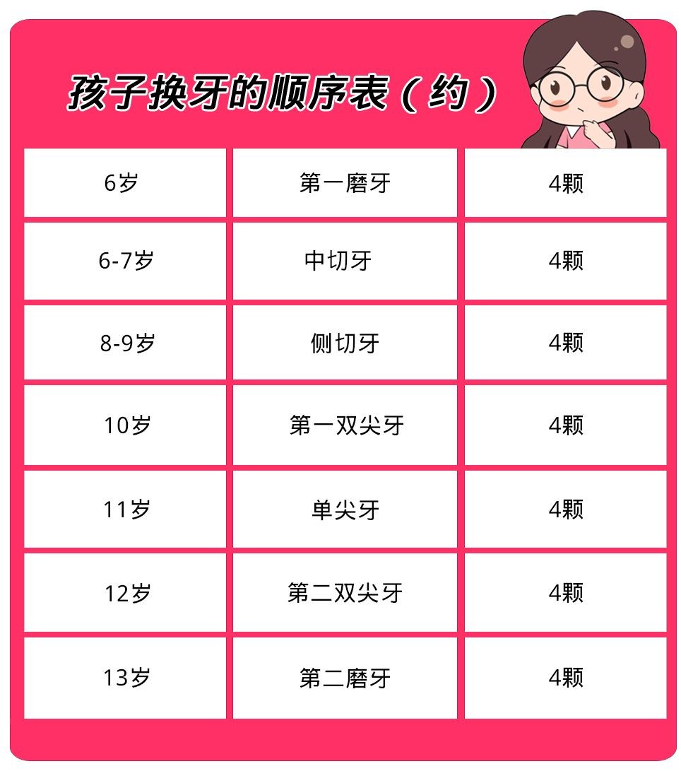 小朋友换牙时间表,换牙期父母要知道的