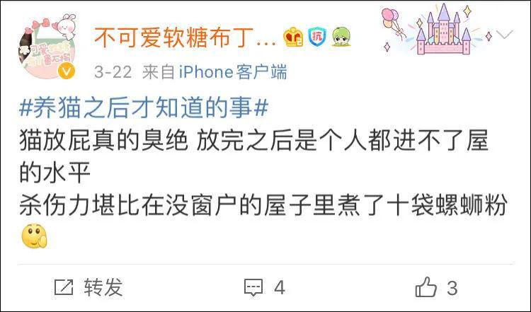 表面上可爱其实背地里也沙雕,表面萌萌哒