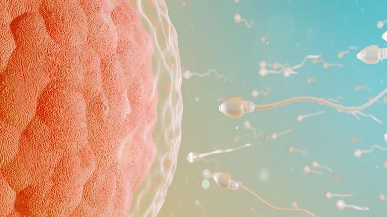 什么是性成瘾疾病的真实感受,性成瘾症是不是精神疾病