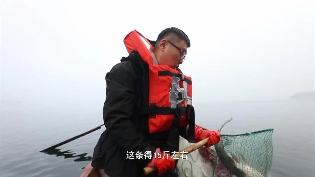 好物节食品,好物节好物
