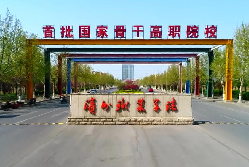 山东商职学院在山东排名多少,山东轻工职业学院2023排名