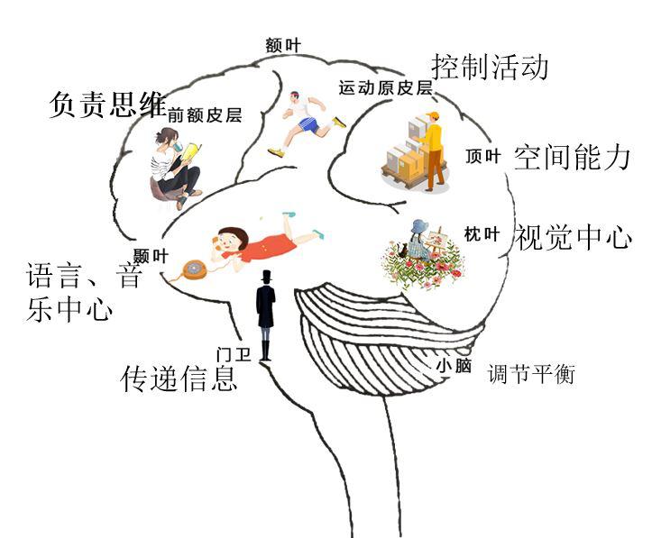 怎么样我们的大脑才能更容易学习,提高大脑学习的十大技巧