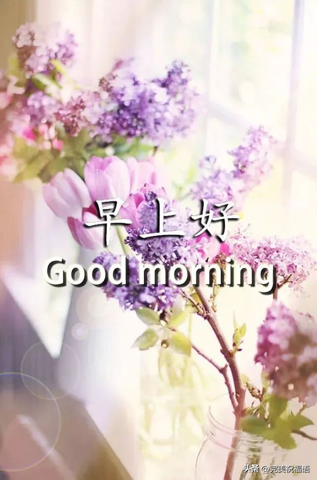 早上好表情图大全最新,早上好祝福健康平安动画表情