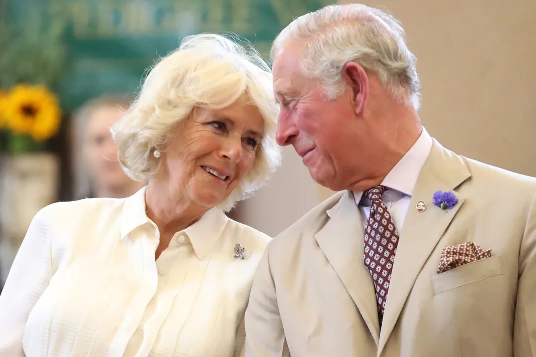 卡米拉气质逆袭不输戴安娜,卡米拉微笑回应凯特