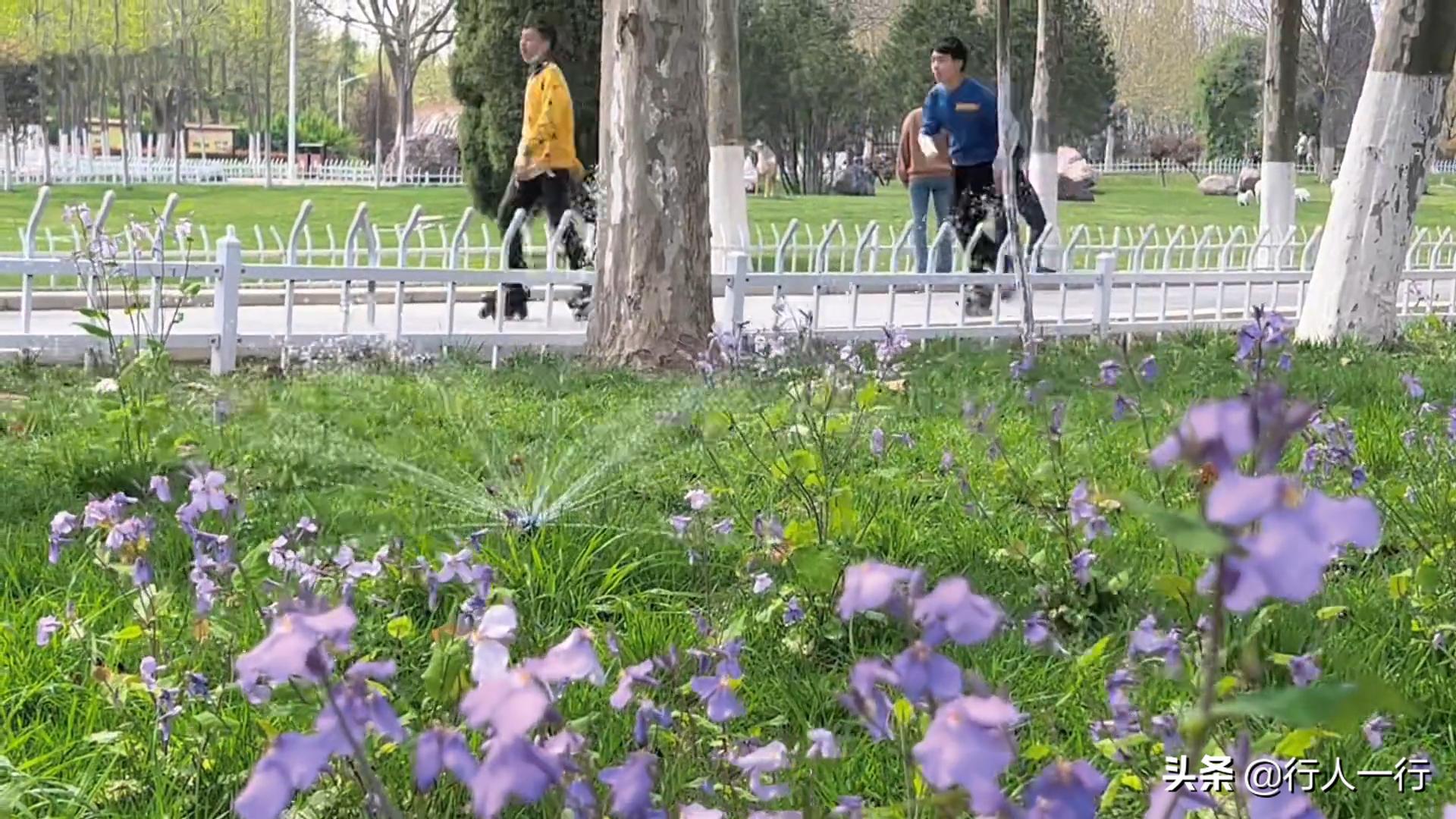 郑州周边夜晚露营地推荐,郑州露营旅游地点推荐