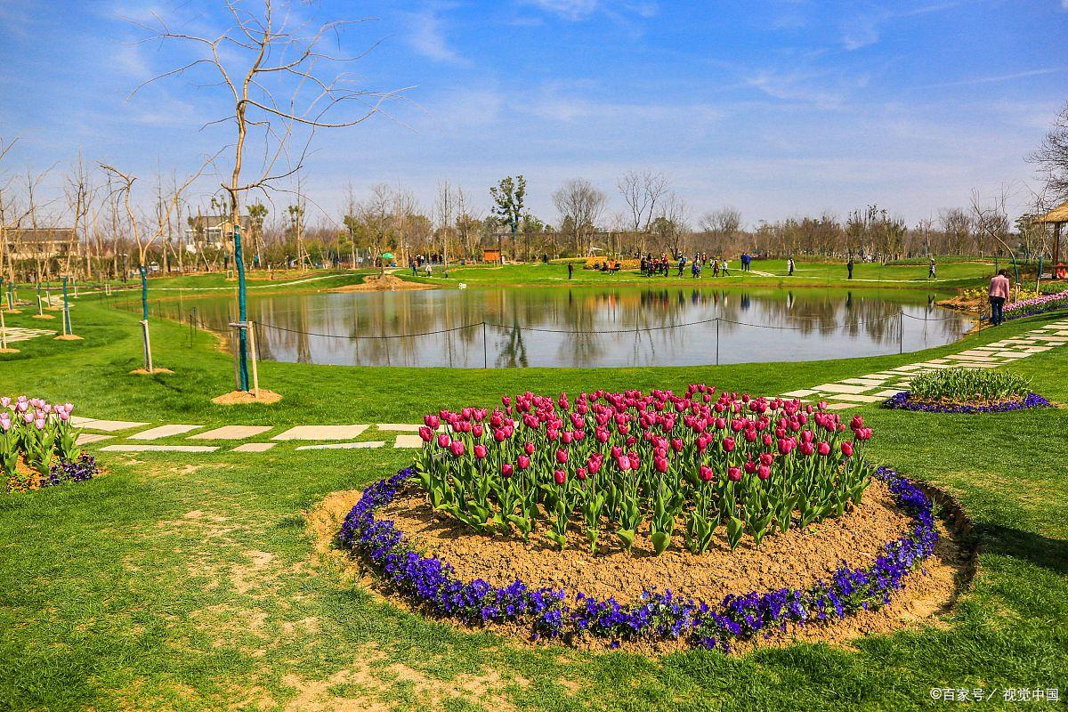 合肥不得不去的旅游景点推荐,合肥景点排行榜好玩的景点推荐