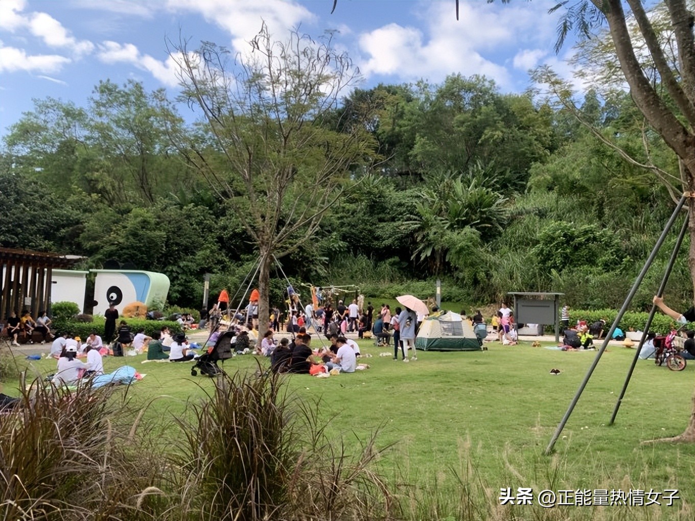 深圳市罗湖淘金山绿道登山口,深圳淘金山绿道海拔高