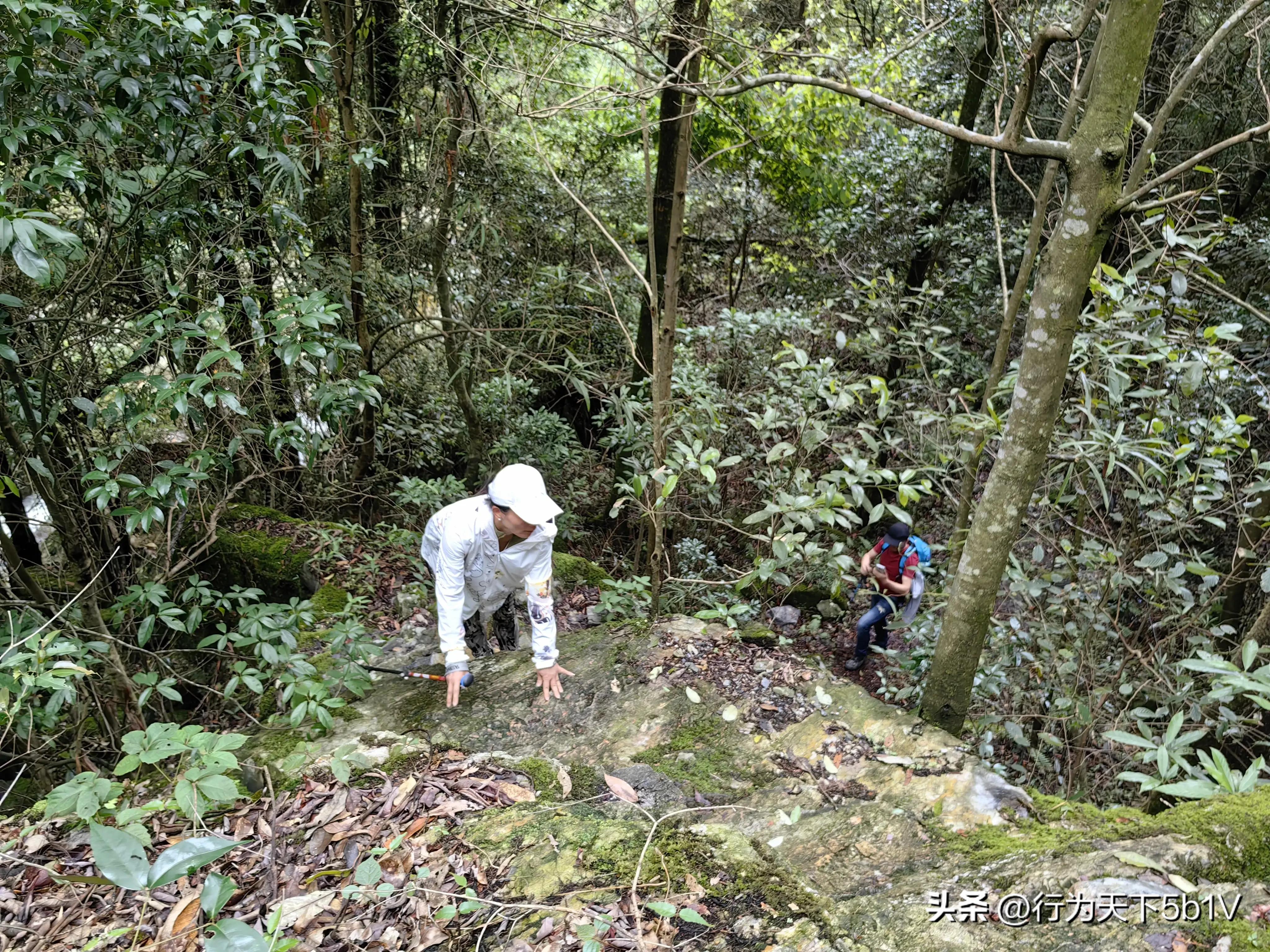 【探秘宛田红滩瀑布溯溪梦江吉翁瀑布】穿越花坪神秘风景线