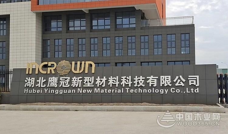 实至名归品牌有哪些,板材十大品牌鹰冠