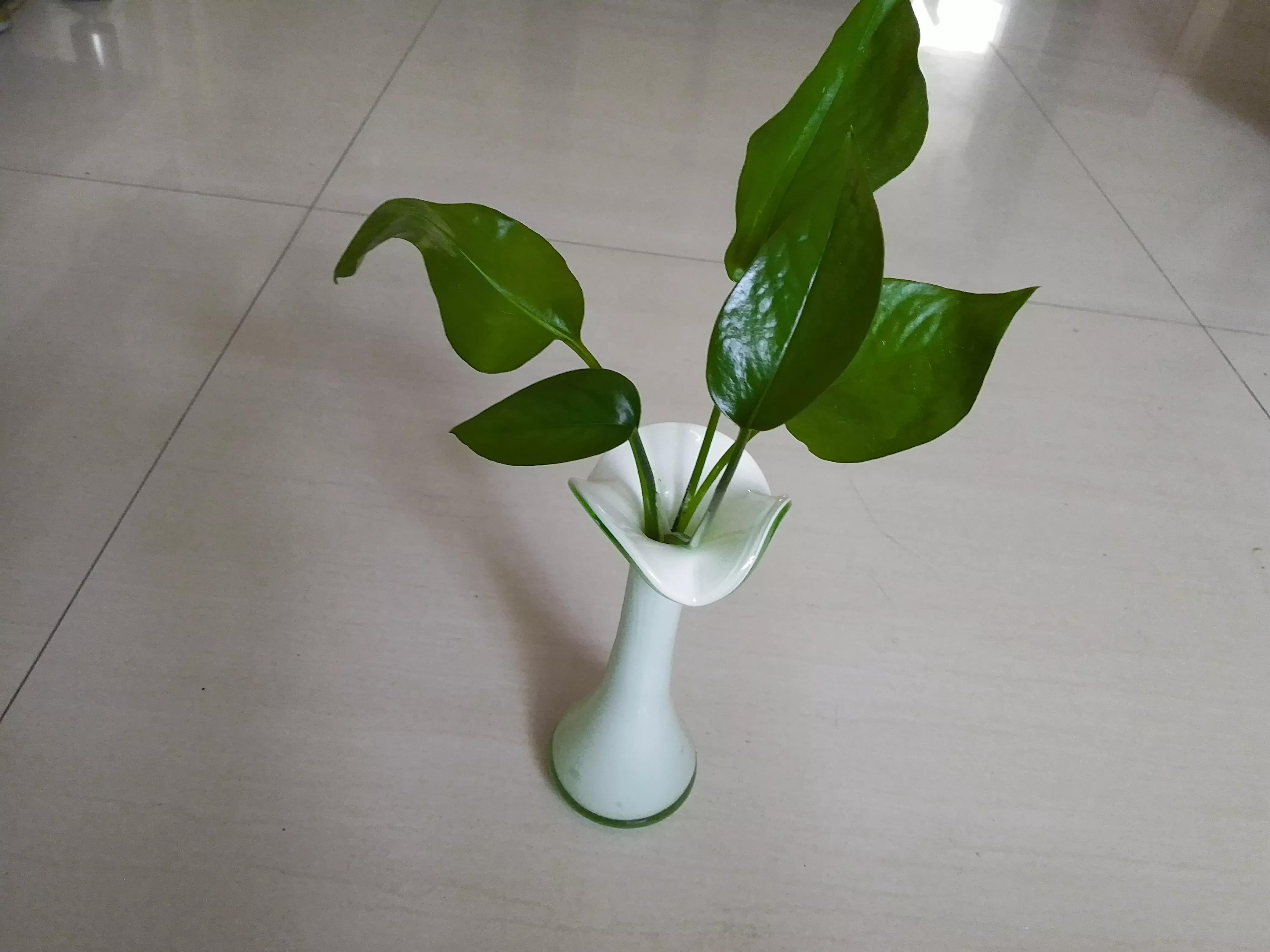 瞧！满屋都是插花，走到哪里都是春天美景