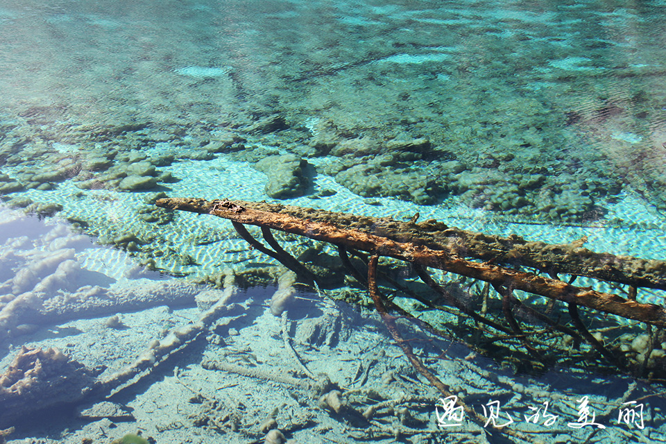 如果一生只去一个古城,一生去一次九寨沟